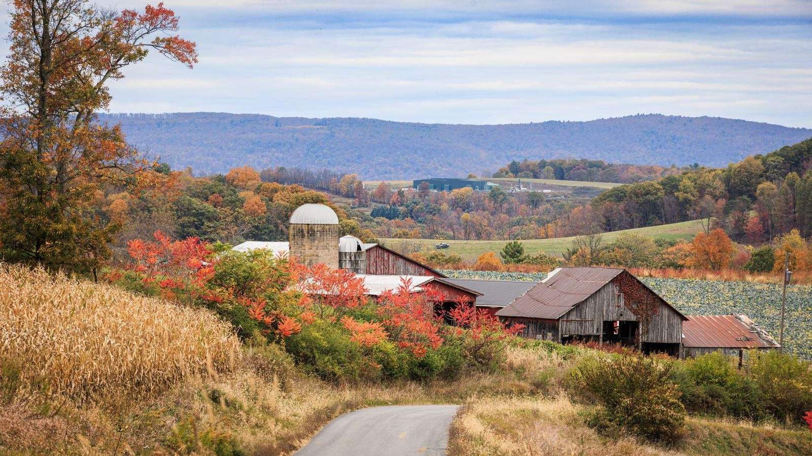 A farm road with barns and hills in autumn