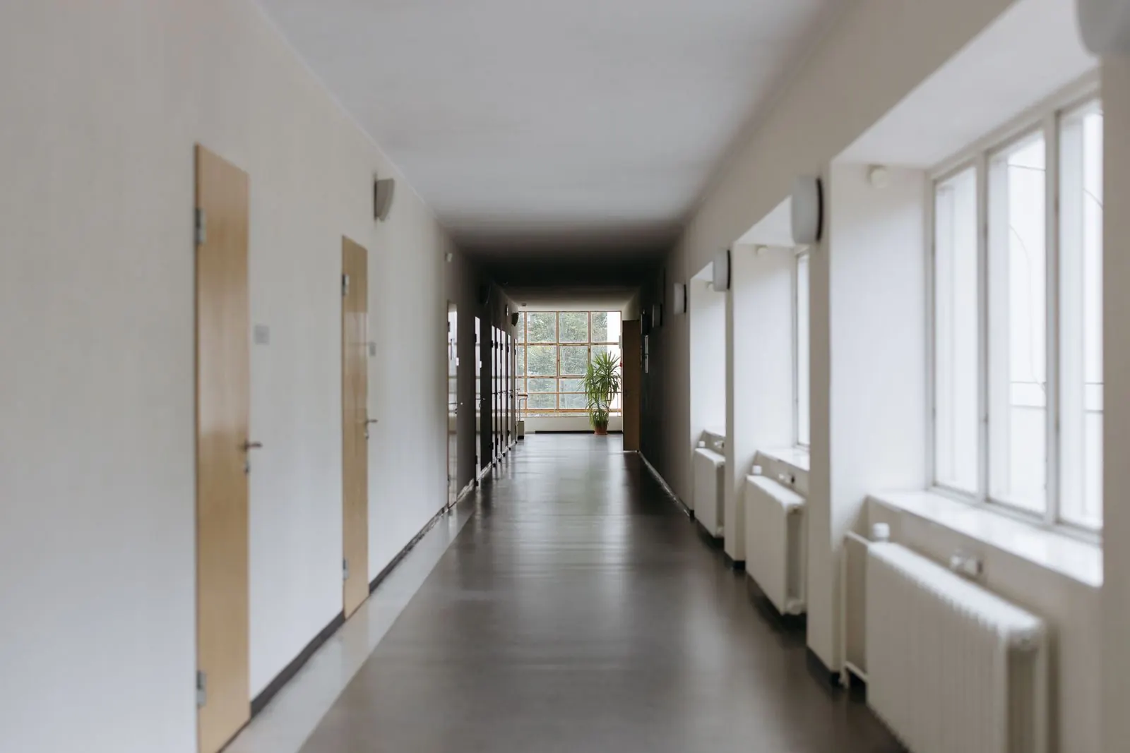 A long bright corridor with windows and a plant at the end